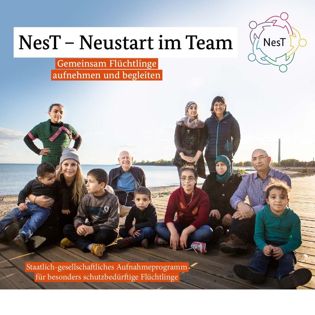 thumbnail of NesT-Flyer