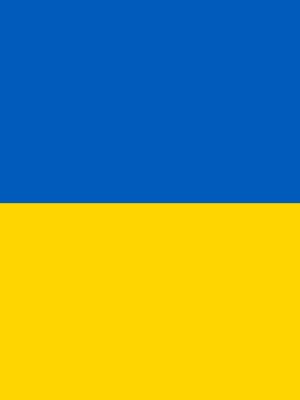 Flagge_Selbst_erstellt