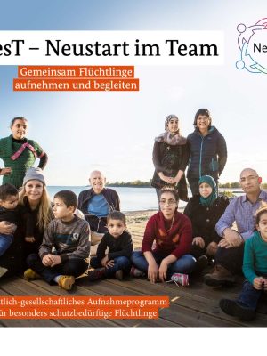thumbnail of NesT-Flyer