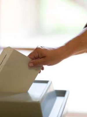 Stock_Firefly_82017_1714473175866