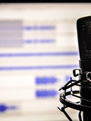 microphone-338481_640