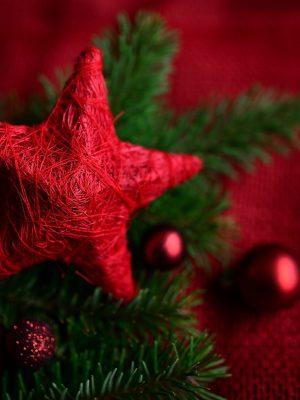 star-6803666_1920 (1)