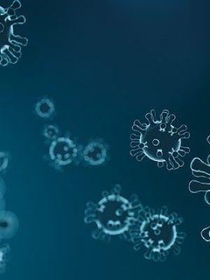 virus-4835301_640
